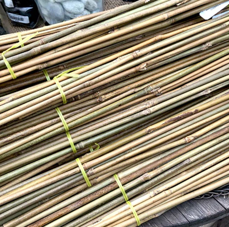 Natural Bamboo Plant Stakes