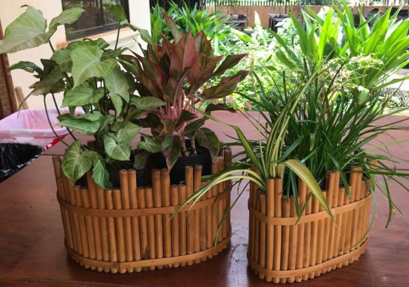 Prich Bamboo Planter Holder