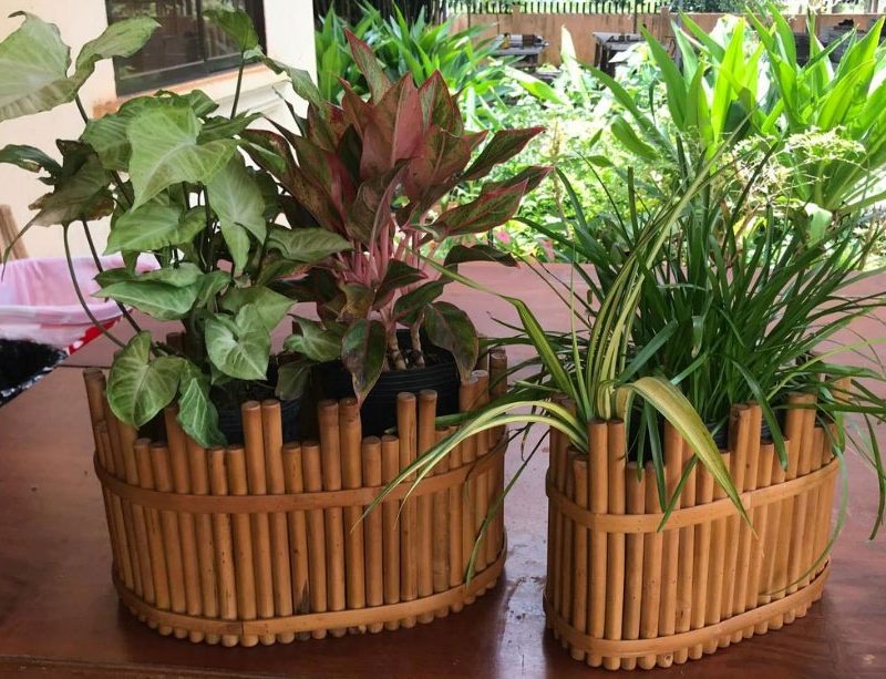 Prich Bamboo Planter Holder