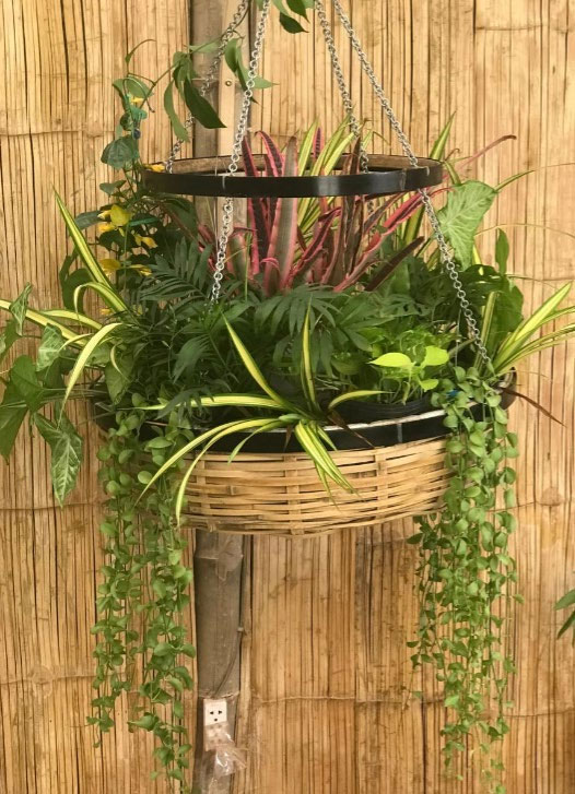 Weave Bamboo Basket Holder With Chain & Metal ring